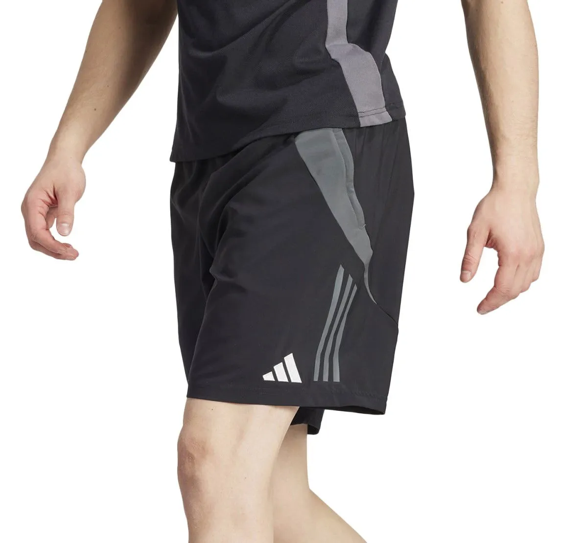 Kurze Hosen adidas Originals adidas TIRO24 C DT SHO ip5594